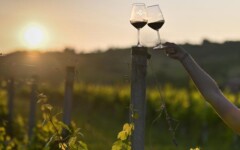 Zalazak-u-vinogradu-meridiana-slavonica-gastronomija-modnialmanah