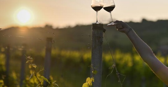 Zalazak-u-vinogradu-meridiana-slavonica-gastronomija-modnialmanah