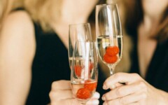 gastro-voće-maline-ribizl-kupine-pjenušac-modnialmanah