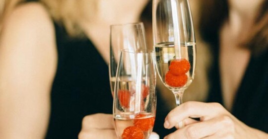 gastro-voće-maline-ribizl-kupine-pjenušac-modnialmanah