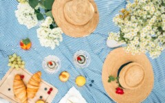 gastronomija-piknik-modnialmanah-ljeto