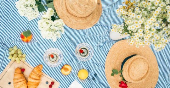 gastronomija-piknik-modnialmanah-ljeto