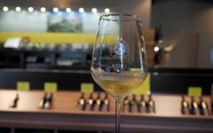 puklavec-family-wines-gastronomija-eno-gastro-wine-vino-modnialmanah-jeruzalem-ormož