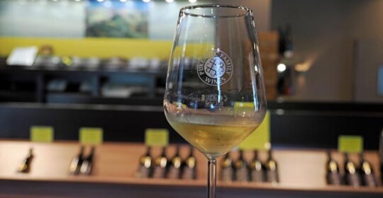 puklavec-family-wines-gastronomija-eno-gastro-wine-vino-modnialmanah-jeruzalem-ormož