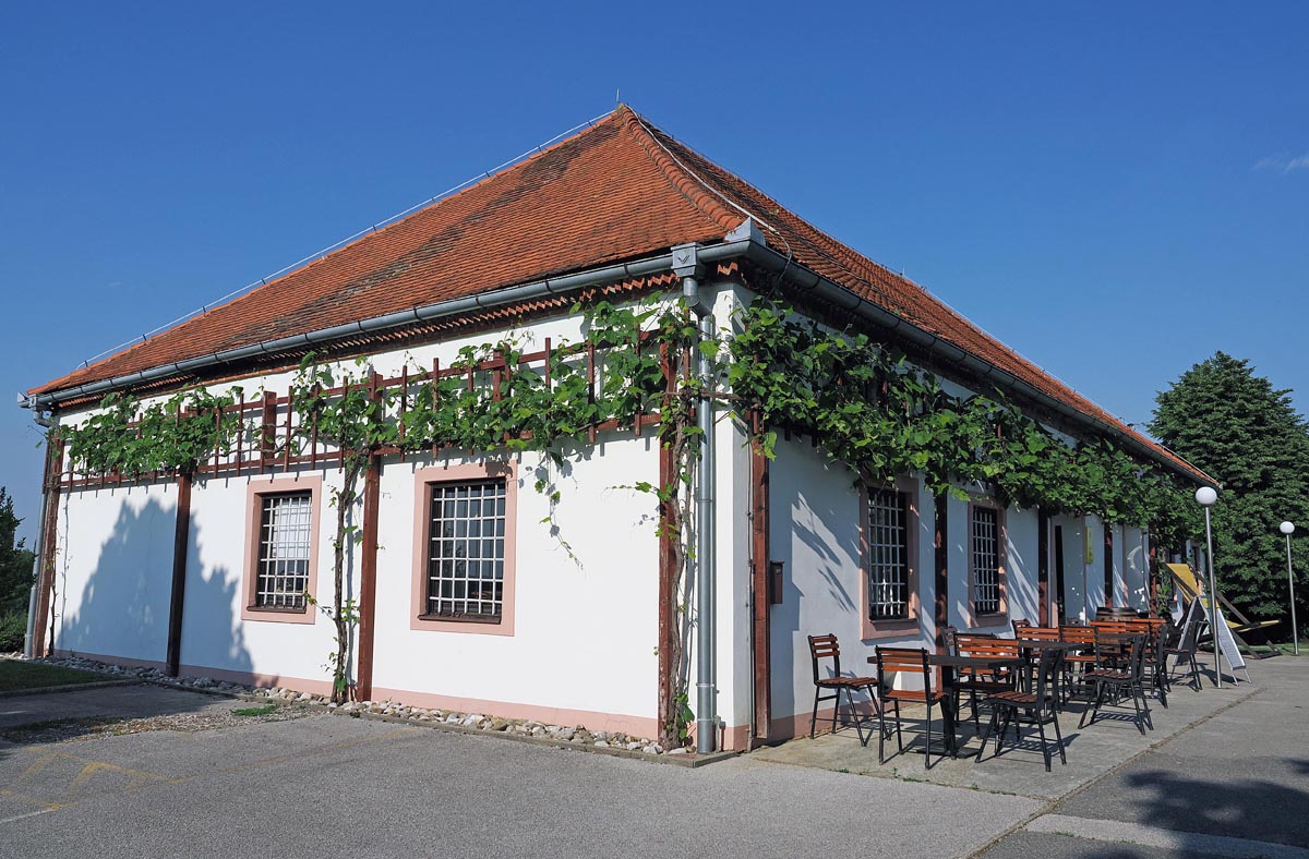 puklavec-family-wines-gastronomija-eno-gastro-wine-vino-modnialmanah-jeruzalem-ormož