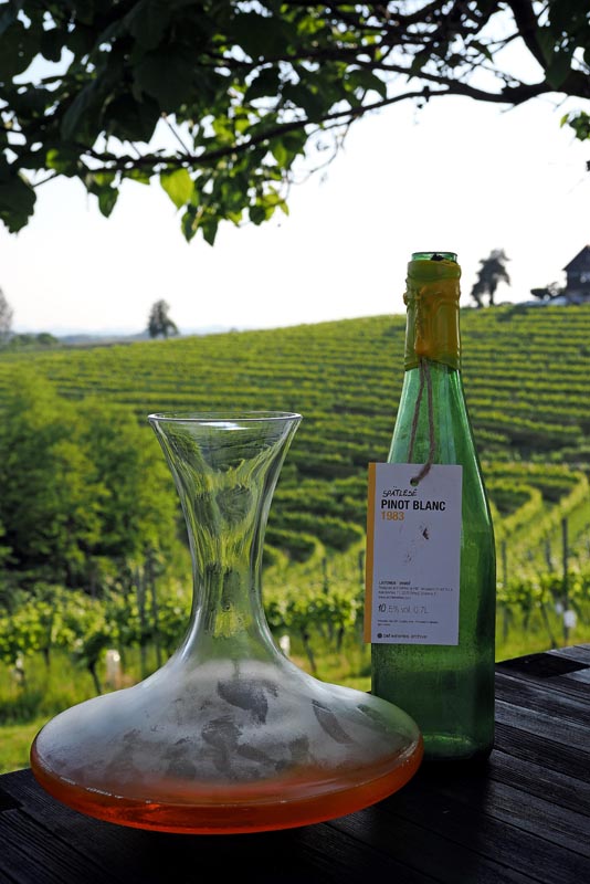puklavec-family-wines-gastronomija-eno-gastro-wine-vino-modnialmanah-jeruzalem-ormož