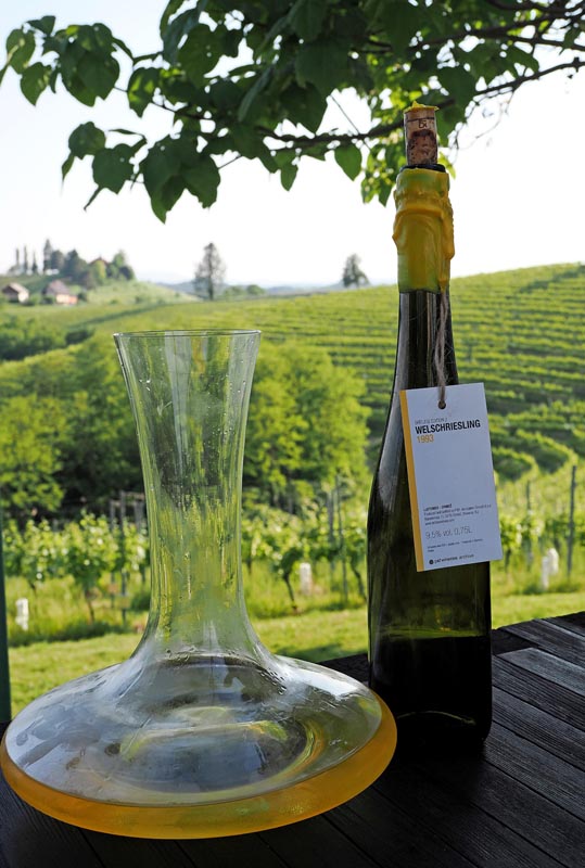puklavec-family-wines-gastronomija-eno-gastro-wine-vino-modnialmanah-jeruzalem-ormož