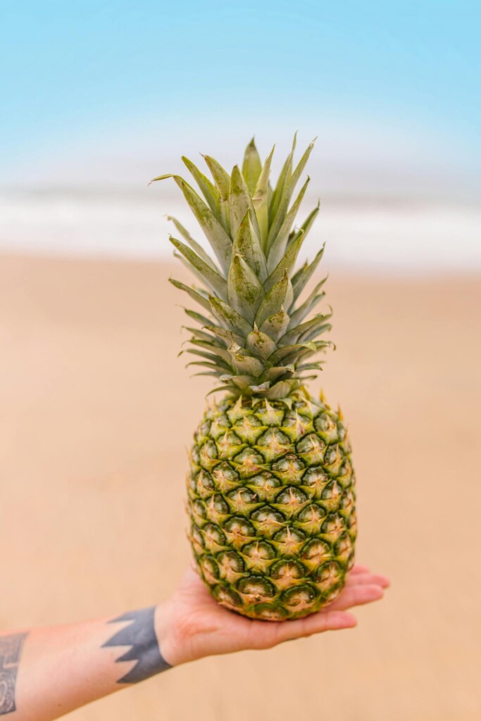 zdravlje-ananas-osvježenje-modnialmanah