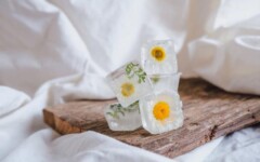 gastro-ledene-kocke-cvijeće-modnialmanah