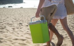 gastro-piknik-na-plaži-modnialmanah