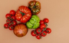 gastro-rajčica-modnialmanah
