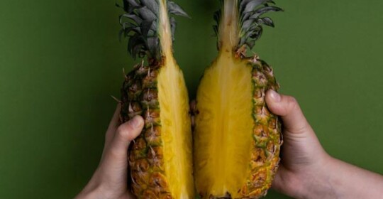 gastro-serviranje-ananas-modnialmanah