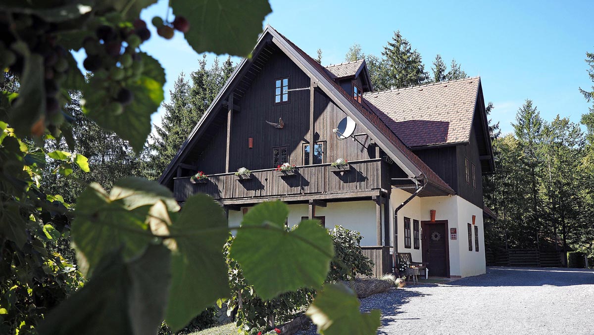 Tradicionalna drvena kuća sa sobama za goste na eko imanju Pomona Turizem na podeželju u Rogaškoj Slatini, fotografirana kroz lišće vinove loze.