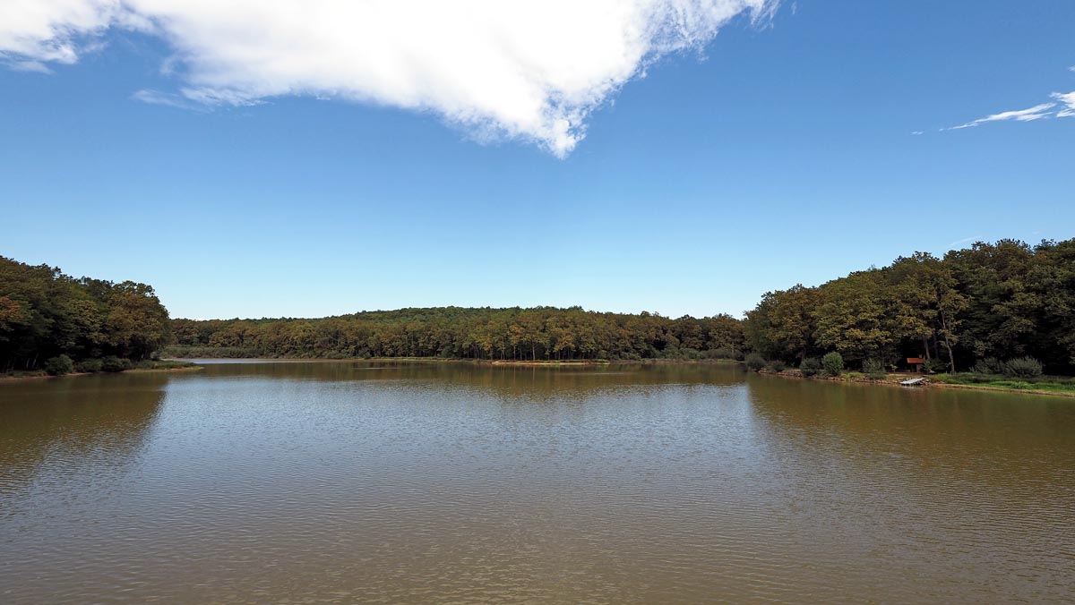 Bukovniško jezero okruženo gustom zelenom šumom pod vedrim plavim nebom s oblacima
