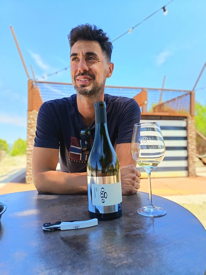 nikola baran dalatian ego