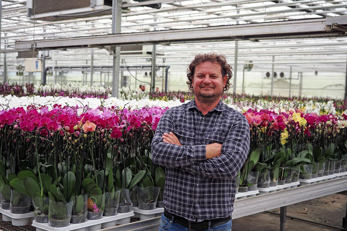 Roman Ferenčak u kariranoj košulji stoji prekriženih ruku u stakleniku tvrtke Ocean Orchids