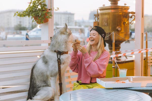 Nasmijana djevojka hrani husky psa komadićem pizze na terasi restorana na otvorenom
