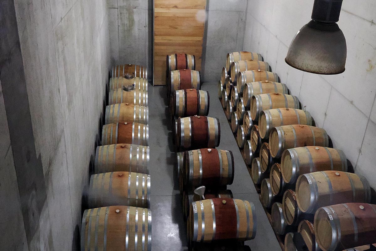 Drvene barrique bačve za odležavanje vina poslagane u redove unutar modernog vinskog podruma vinarije Marof