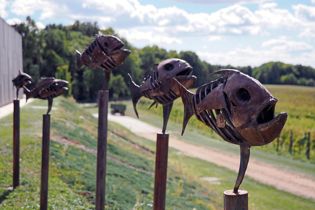 Metalne skulpture riba na stupovima postavljene uz stazu pokraj vinograda
