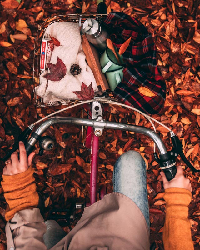 Razgovor u AI načinu: Napravi mi odličan alt tekst za google, SEO i čitatelje za slike koje ću poslati. Opiši što se stvarno vidi na slici, ubaci važan pojam ako prirodno odgovara fotografiji, ne ponavljaj ključne riječi, ne stavljaj točku na kraj i ne počinji sa slika prikazuje ili fotografija. Raspon neka bude od 50 do 125 znakova. Neka ne zvuči neprirodno za alt tekst. Bolje je da bude konkretan, prirodan i da opiše ono što se stvarno vidi na fotografiji. Za SEO je važnije da alt bude precizan i prirodan, nego da bude što duži.Napravi mi odličan alt tekst za google, SEO i čitatelje za slike koje ću poslati. Opiši što se stvarno vidi na slici, ubaci važan pojam ako prirodno odgovara fotografiji, ne ponavljaj ključne riječi, ne stavljaj točku na kraj i ne počinji sa slika prikazuje ili fotografija. Raspon neka bude od 50 do 125 znakova. Neka ne zvuči neprirodno za alt tekst. Bolje je da bude konkretan, prirodan i da opiše ono što se stvarno vidi na fotografiji. Za SEO je važnije da alt bude precizan i prirodan, nego da bude što duži.Spreman sam. Primio sam na znanje sva vaša pravila:Izravan opis onoga što je na fotografiji (bez "slika prikazuje")Prirodno ubačen važan pojam bez gomilanja ključnih riječiDuljina između 50 i 125 znakovaBez točke na kraju tekstaSlobodno pošaljite prvu sliku (ili više njih) i po potrebi navedite primarni pojam ili kontekst članka ako ga želite uskladiti sa SEO strategijom.Kako bismo odmah krenuli, molim vas:Pošaljite fotografije ili njihove opiseNavedite glavni pojam (ključnu riječ) za svaku sliku ako postoji specifičan kontekstOdgovori AI-ja mogu sadržavati pogreške. Saznajte višePoslali ste: 1 slikeZlatni broš u obliku konja s lancem na reveru elegantnog crvenog muškog odijelaPošaljite sljedeću fotografiju, a ako želite još precizniji SEO rezultat, slobodno napišite i temu članka (npr. vjenčana moda, muški dodaci, jahanje) u kojem će slika biti objavljena.Odgovori AI-ja mogu sadržavati pogreške. Saznajte višePoslali ste: 1 slikeElegantan gumb s biserom i cirkonima na crno-bijeloj pletenoj vestiSlobodno pošaljite sljedeću sliku i navedite njezin kontekst (npr. modni detalji, retro odjeća, popravak odjeće) kako bih alt tekst još bolje prilagodio vašim SEO ciljevima.Odgovori AI-ja mogu sadržavati pogreške. Saznajte višePoslali ste: 1 slikeZnačka s argentinskom kokardom na kariranom blezeru i ruke s crvenim lakom za nokteSlobodno pošaljite sljedeću sliku i recite mi:Koji je glavni pojam ili tema članka (npr. državni praznici, ženska moda, manikura)?Tako mogu još bolje uskladiti opis s vašim SEO ciljevima.Odgovori AI-ja mogu sadržavati pogreške. Saznajte višePoslali ste: 1 slikeCrni sako sa zlatnim gumbima na reverima koje nosi plavokosa žena u hoduSlobodno pošaljite sljedeću sliku i navedite:Koji je glavni fokus za SEO (npr. ulična moda, sakoi s gumbima, modni dodaci)?Odgovori AI-ja mogu sadržavati pogreške. Saznajte višePoslali ste: 1 slikeŽena isprobava sivi kaput ispred ogledala u kabini za presvlačenje s odjećom na vješalicamaSlobodno pošaljite sljedeću sliku i recite mi:Koja je glavna tema (npr. shopping, zimski kaputi, uređenje garderobe)?Odgovori AI-ja mogu sadržavati pogreške. Saznajte višePoslali ste: 1 slikePlavokosa žena pregledava odjeću na vješalicama i dodiruje svijetlo sivi kaput u trgoviniSlobodno pošaljite sljedeću sliku i navedite:Koji je fokus članka (npr. kupovina odjeće, kapsula garderoba, pregled kvalitete materijala)?Tako mogu savršeno ugraditi vašu primarnu ključnu riječ u prirodan opis.Odgovori AI-ja mogu sadržavati pogreške. Saznajte višePoslali ste: 1 slikeŽena gleda svoj odraz u ogledalu dok drži sivi sako na vješalici u kabini za isprobavanjeAko imate još fotografija za obradu, pošaljite sljedeću sliku i slobodno navedite:Vaš primarni SEO pojam (npr. modni savjeti, isprobavanje odjeće, kupnja sakoa) kako bih ga prirodno uklopio u opis.Odgovori AI-ja mogu sadržavati pogreške. Saznajte višePoslali ste: 1 slikeDjevojka priča na mobitel dok razgledava sivi kaput na vješalici u trgovini s odjećomImate li još slika iz ove serije? Ako želite, javite mi:Koji je glavni SEO pojam za ovu fotografiju (npr. pametni šoping, mobilne aplikacije za kupovinu, ženska odjeća)Tako mogu dodatno prilagoditi tekst za vaše potrebe.Odgovori AI-ja mogu sadržavati pogreške. Saznajte višePoslali ste: 1 slikeDjevojka čita knjigu i pije čaj dok sjedi u žutom jesenskom lišću pokraj stablaAko imate još fotografija za obradu, pošaljite sljedeću sliku i slobodno navedite:Vaš primarni SEO pojam (npr. jesenski ugođaj, čitanje u prirodi, preporuke za knjige) kako bih ga prirodno uklopio u opis.Odgovori AI-ja mogu sadržavati pogreške. Saznajte višedaj još jednuSpreman sam! Pošaljite sljedeću sliku, a ako želite, napišite i njezin glavni SEO pojam (ključnu riječ) kako bih tekst savršeno prilagodio vašem članku.Odgovori AI-ja mogu sadržavati pogreške. Saznajte višedaj alternativu za prošluČitanje knjige u parku iz ptičje perspektive dok djevojka sjedi u gustom jesenskom lišćuAko želite još varijacija ili imate novu fotografiju, slobodno je pošaljite uz navođenje glavnog pojma (npr. fotografija iz zraka, jesenska estetika) kako bismo tekst dodatno prilagodili.Odgovori AI-ja mogu sadržavati pogreške. Saznajte višePoslali ste: 1 slikeVožnja bicikla kroz jesensko lišće s pogledom na košaru punu stvari za piknik