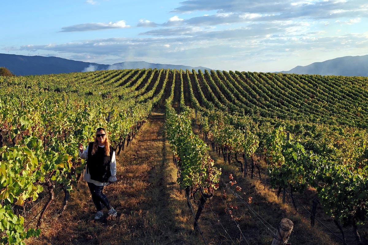 Alma Premerl Zoko pozira među nepreglednim redovima vinograda u Harsovu u Vinariji Melnik