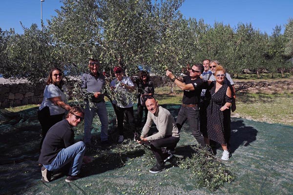 Novinari na zelenoj mreži tijekom tradicionalne berbe maslina u Puntu na otoku Krku