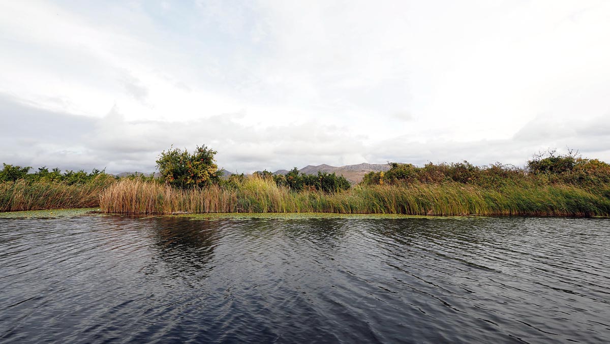 Riječni kanal u dolini Neretve okružen bujnim šašom, grmljem i brdima u daljini